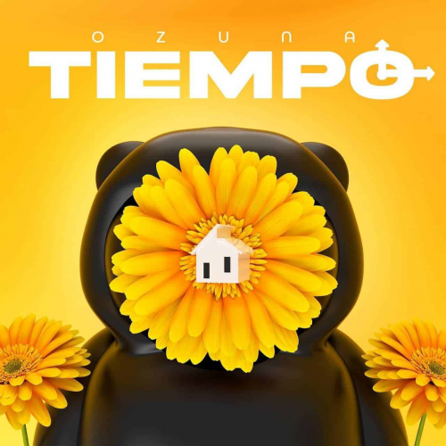 Ozuna - Tiempo - DJ CRIMIX - 6 Versiones - Acapella BreakDown & Starter & Intro-Outro - ER