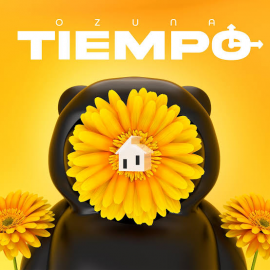 Ozuna - Tiempo - Roy Remix - Open Acapella + Intro Break + Chorus - 90 Bpm - 3 VERSIONES