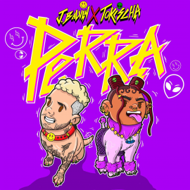 J BALVIN FT. TOKISCHA - PERRA - MAICOL REMIX - BREAK & INTRO OUTRO - CLEAN & DIRTY - ER