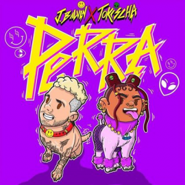 J Balvin Ft. Tokischa - Perra - Original Moombah Riddim - 102Bpm - DJ CARLO KOU