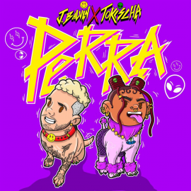 J. Balvin & Tokischa - Perra - DJ CRIMIX - 3 Versiones - BreakDown & OPEN - ER