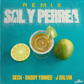 Sech Ft Daddy Yankee Y J Balvin - Sal y Perrea - Roy Remix - Intro Chorus + Intro Marroneo - 90 Bpm 2 VERSIONES