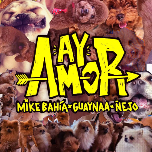 Mike Bahia Ft. Guaynaa & Ñejo - Ay Amor - Intro Outro - Chorus - 086Bpm - DJ CARLO KOU