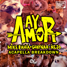 Mike Bahia x Guaynaa x Ñejo - Ay Amor - OlixDJ - Acapella BreakDown - 090Bpm