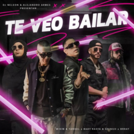 DJ Nelson, Wisin & Yandel Ft. Varios Artistas - Te Veo Bailar - 3 Vers - Open Show & BreakDown - DJ CARLO KOU