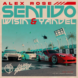 Alex Rose Ft. Wisin & Yandel - Sentido - 2 Vers - Break Acapella - DJ CARLO KOU