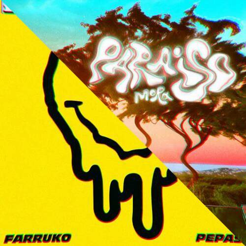 Farruko x Mora - Pepas x Casualidad - Intro Outro - Mashup - 130Bpm - ER