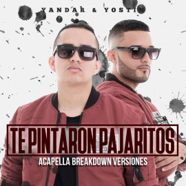 Yandar y Yostin ft Andy Rivera - 3 VERS - Te Pintaron Pajaritos - Acapella BreakDown & Chorus - ER