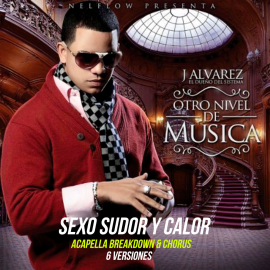 J Alvarez, Nejo & Dalmata - Sexo Sudor y Calor  - 6 Vers - Acapella BreakDown & Chorus - ER