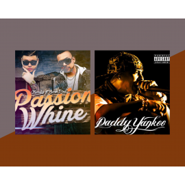 Farruko Ft. Sean Paul & Daddy Yankee - Passion Whine X Rompe - Segway Mashup 94BPM - ER