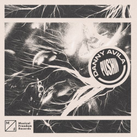 Danny Avila x DJ Kuba - Pushin x Watch Out - Intro Outro - House Mashup - 126Bpm - ER