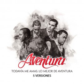 Aventura - Todavia Me Amas - Direct & Acapella BreakDown