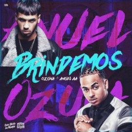 Anuel Aa Feat. Ozuna - Brindemos - Funk Brazilian - Original Remix - DJ Kenny Flow - ER