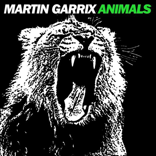 Martin Garrix x Romy - Animals - Original Remix - Guaracha - 128Bpm - DjRomy