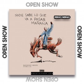 Bad Bunny, Feid - Perro Negro - OlixDJ - OPEN SHOW - 096Bpm