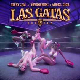 NICKY JAM FT, YOVNGCHIMI Y ANGEL DIOR - LAS GATAS - ACA BREAK - DJ DANNY - ER