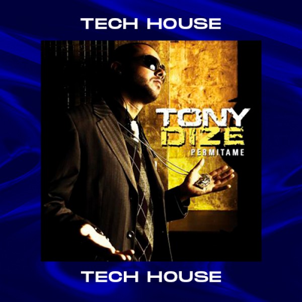 Tony Dize, Yandel - Permitame - Tech House - 126 BPM - Alex Vip