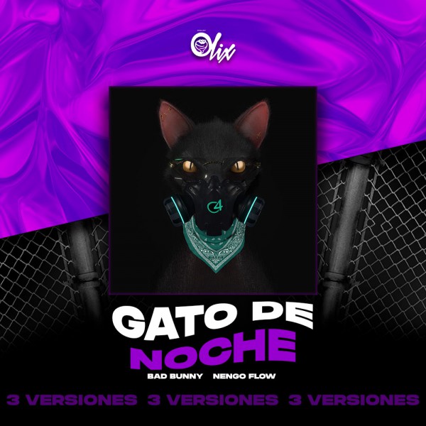 Bad Bunny, Nengo Flow - Gato De Noche - OlixDJ - Acapella BreakDown & DIRECT 3 VERSIONES