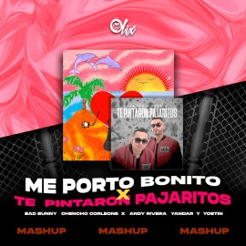 Bad Bunny, Chencho x Andy Rivera, Yandar y Yostin - Me Porto Bonito xTe Pintaron Pajaritos - OlixDJ - Mashup - 096Bpm