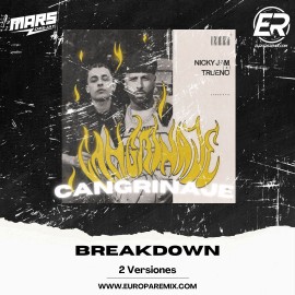 Nicky Jam Ft. Trueno - Cangrinaje - 2 Versiones - BreakDown Acapella - DJ MARS - ER