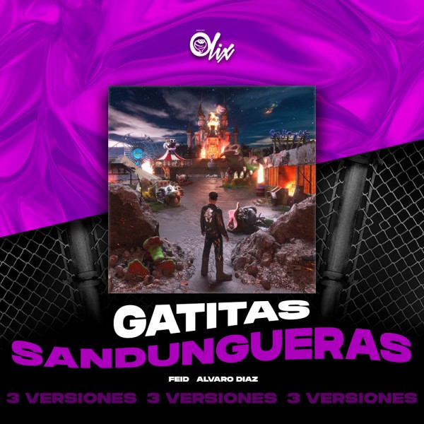 Alvaro Diaz, Feid - Gatitas Sandungueras Vol.1 - OlixDJ - Acapella BreakDown & DIRECT 3 VERSIONES