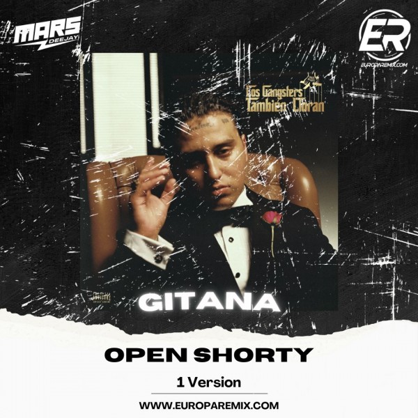 Pablo Chill-E Ft. Bryartz - Gitana - OpenShorty Acapella - DJ MARS - ER