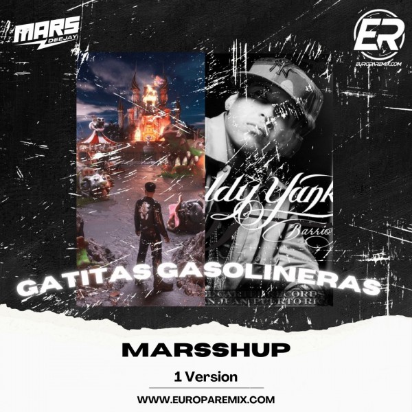 Alvaro Díaz Ft Feid , Daddy Yankee - GATITAS GASOLINERAS - MarsShUP - DJ MARS - ER