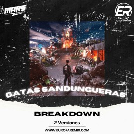 Alvaro Díaz Ft Feid - GATITAS SANDUNGUERAS - 2 Versiones - BreakDown Acapella - DJ MARS - ER