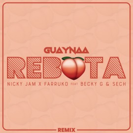 Guaynaa Ft Varios Artistas - Rebota Remix - Acapella Starter - 90bpm - ER