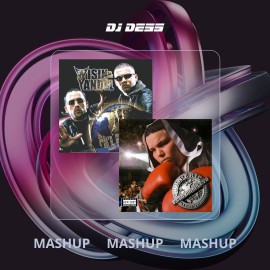 Wisin & Yandel x John Eric - Burn It Up x Tembleque - Versus - Dj Dess - 96Bpm