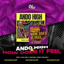 Tom & Collins x Michael Mind Project - Ando High x How Does It Feel - OlixDJ - MASHUP - 128Bpm