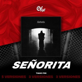 Tiago PZK - Señorita - OlixDJ - Acapella BreakDown & DIRECT 3 VERSIONES