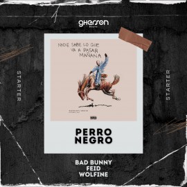 Bad Bunny & Feid x Wolfine - Perro Negro - Starter - Gherson Music - 096