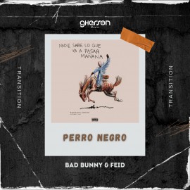 Bad Bunny & Feid - Perro Negro - Transition - Gherson Music - 96-125 Bpm