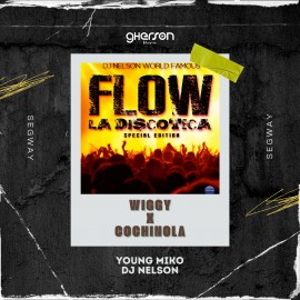 Young Miko ft DJ Nelson & Dj Rafy Mercenario - Wiggy x Cochinola - Segway - Gherson Music - 97 Bpm