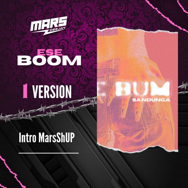 Dj Towa Ft. MC Fioti  - ESE BUM - Intro MarsShUP - DJ MARS - 130 Bpm Dj Towa Ft. MC Fioti  - ESE BUM - Intro MarsShUP - DJ MARS - 130 Bpm