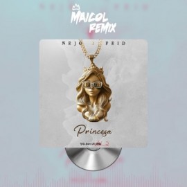 Nejo Ft. Feid - Princesa - MAICOL REMIX - 6 VERSIONS - ER