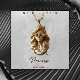 Ñejo x Feid - Princesa (Alex Vip Acapella Epic) 93 BPM