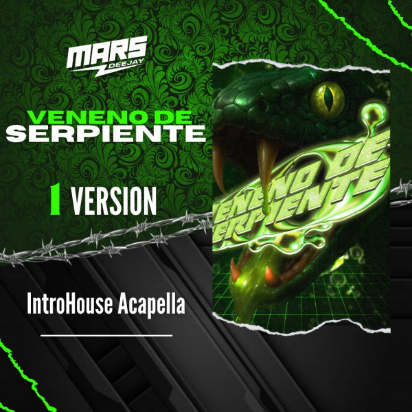 Veneno De Serpiente - IN House - DJ MARS - 128 - 104 Bpm