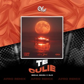 Ozuna, Beele - Te Culie - OlixDJ - Afro Remix - 124Bpm