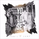 Yomil y El Dany - Yo Lo Se - 2 Versiones - DJ Romy
