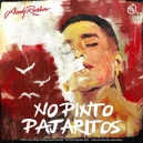 Andy Rivera - No Pinto Pajaritos - 2 Vers - Intro & Chorus - ER