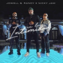 Jowell & Randy Ft. Nicky Jam - En La Intimidad - 6 Vers - Starter Breakdown & Intro - Clean & Dirty - ER