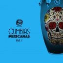 Cumbias Mexicanas Vol 7 (5 Tracks) DJ Panda - ER